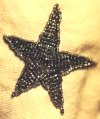 Silver Star